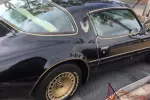 1981 Pontiac Firebird