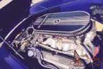 1965 Shelby Cobra