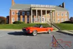 1968 Shelby