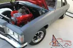 1978 HZ Kingswood project