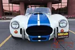 1966 Shelby