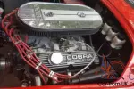 1966 Shelby