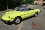 1977 Alfa Romeo SPIDER VELOCE