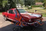 Shelby : GT350 2DR