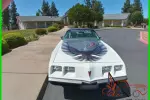 1980 Pontiac Trans Am Indy Pace Car 1 of 5,700 Ever Made