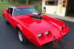 1979 Pontiac Trans Am