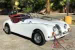 1954 Jaguar XK 1954 JAGUAR XK120 REPLICA