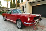 1966 Shelby Shelby GT350