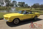 1968 Shelby