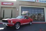 Shelby G.T. 500 Tribute, NO RESERVE!!! V8, All New Chrome, A Must See! 25+Photos