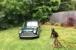 1962 Austin Mini Countryman G80 for Sale