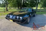 1981 Pontiac Firebird TRANS AM