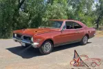 HG GTS MONARO, suit HK HT HQ Holden CAMARO buyer
