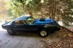 1979 Pontiac Trans Am Trans Am