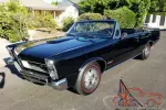 1965 Pontiac GTO GOT gto