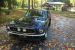 shelby mustang gt 500