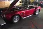 1966 Shelby Cobra