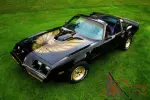 1979 Pontiac Trans Am Special Edition