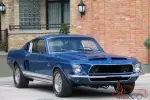 Shelby SHELBY KR