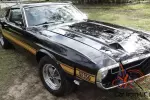  1969 Shelby Mustang GT350 Genuine Real Deal in Brisbane, QLD 