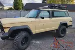 1979 AMC Other