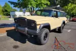 1979 AMC Other