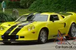 1973 Replica/Kit Makes AVENGER GT-X GT 40