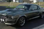 Shelby GT500 GT500E Terminator 65 66 69 70 Supersnake