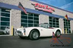 1965 Shelby Cobra CSX CSX8011 Slab Side