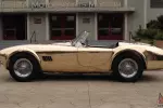 Kirkham 289 BRONZE cobra