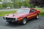 1969 Shelby GT 500  Factory Red/4 Speed    Shelby Mustang Cobra