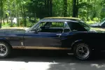 Mustang Shelby GT 350 H Tribute