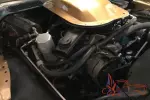1981 Pontiac Trans Am