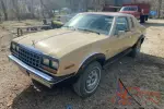 1981 American Motors Eagle 30
