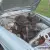 1965 Volvo Amazon 121,low owner,low mileage car in lovely condition,MOT Oct 16