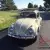 1964 Volkswagen Beetle - Classic