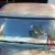 1957 International Harvester Other Stepside short bed