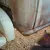 1957 International Harvester Other Stepside short bed