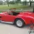 1966 Shelby
