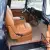 1955 Chevrolet Other Pickups 3100