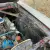 1967 Mustang Fastback V8 and Manual transmission