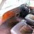 1977 Rolls Royce Silver Shadow II