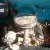 Chevy 3100 Pickup 1957 Deposit Paid in QLD
