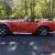 1965 Shelby Cobra