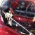 1953 MG TD