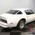 1977 Pontiac Firebird Trans Am