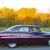 Mercury : Other Standard
