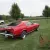 1969 Ford Mustang