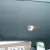 1986 OLDSMOBILE CUTLASS SUPREME . 1 OWNER. 29K MILES. V8 . GARAGE KEPT ..