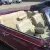 Buick: CENTURION CONVERTIBLE SPORT COUPE